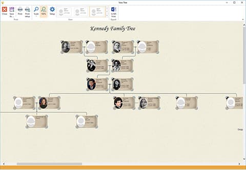 Arbre généalogique - ancêtres directs de l'arbre et descendants, modèle 1