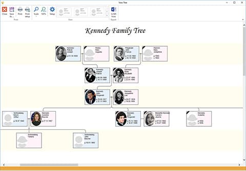 Albero genealogico - albero pieno, Interfaccia standard