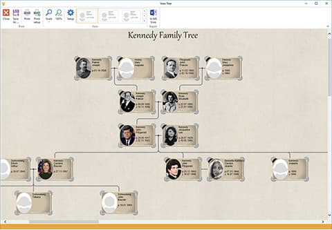 Albero genealogico - albero pieno, Interfaccia moderna